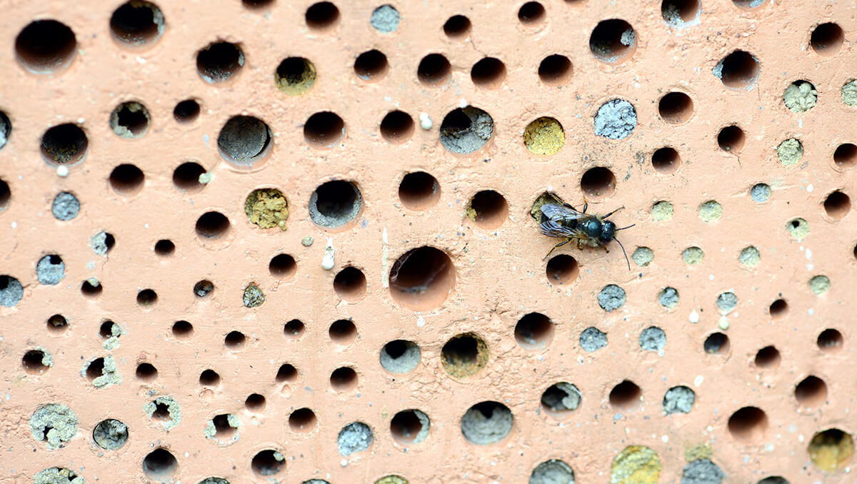 Bienenhotel aus Ziegelstein mit Nistlöchern